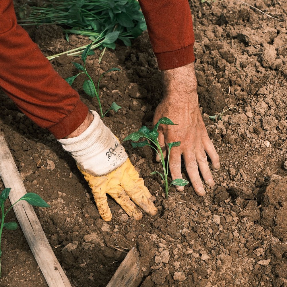 Fertilisers