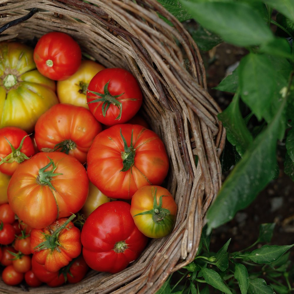 Vegetables